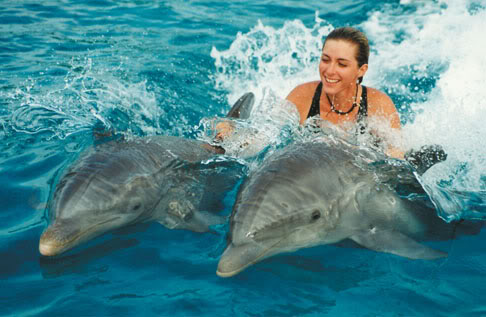 riviera_maya_swim_with_dolphins_01 (1)